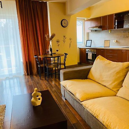 Eclipse Apartment Free Parking Клуж-Напока Экстерьер фото