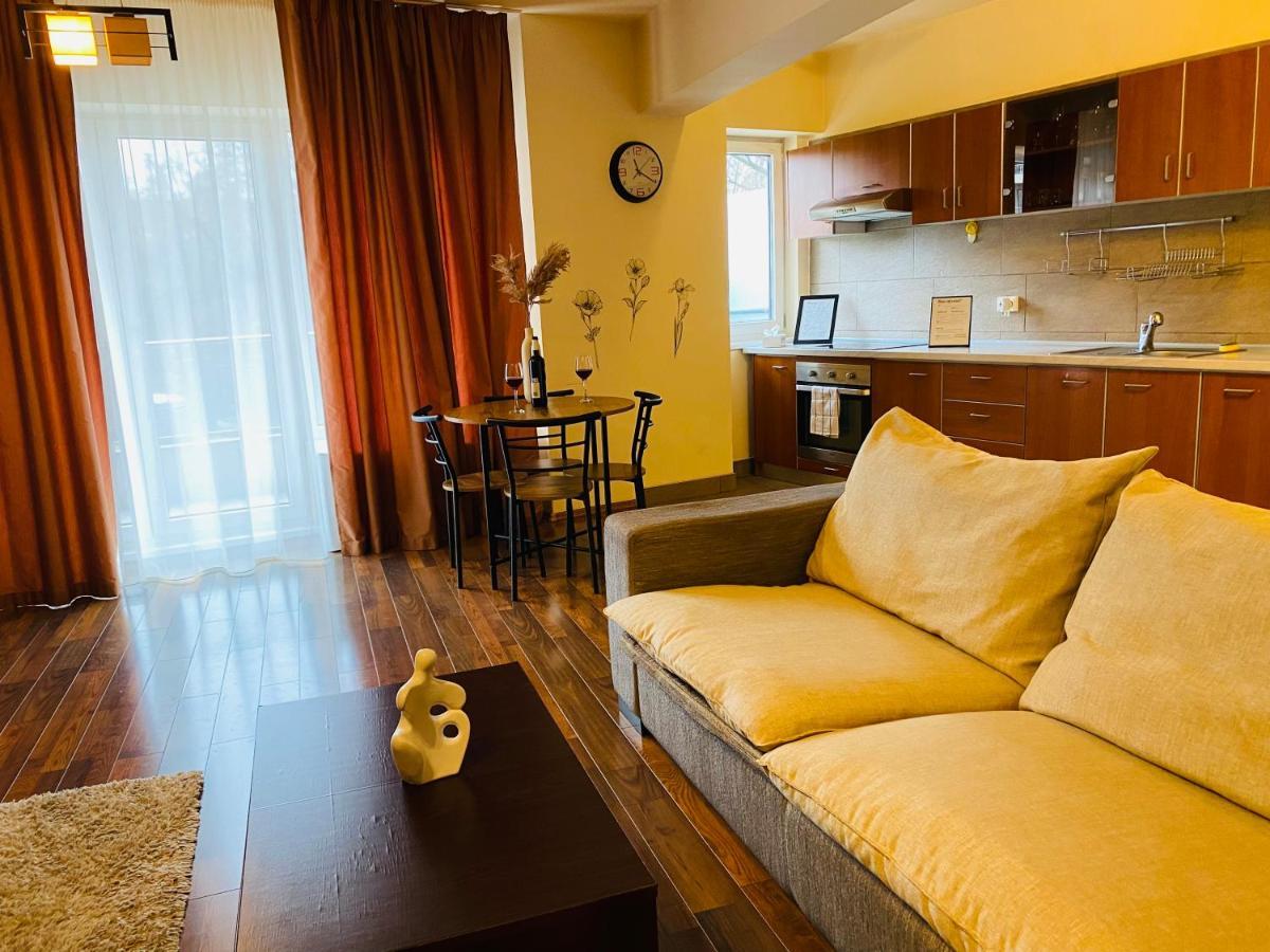 Eclipse Apartment Free Parking Клуж-Напока Экстерьер фото
